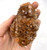 BACKORDER - Aragonite Crystal Clusters - Large