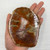 Polished Slab - Petrified Wood
