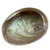 Abalone Shell - Large (5.5-6.5”) Abalone Shell - Large (5.5-6.5”)