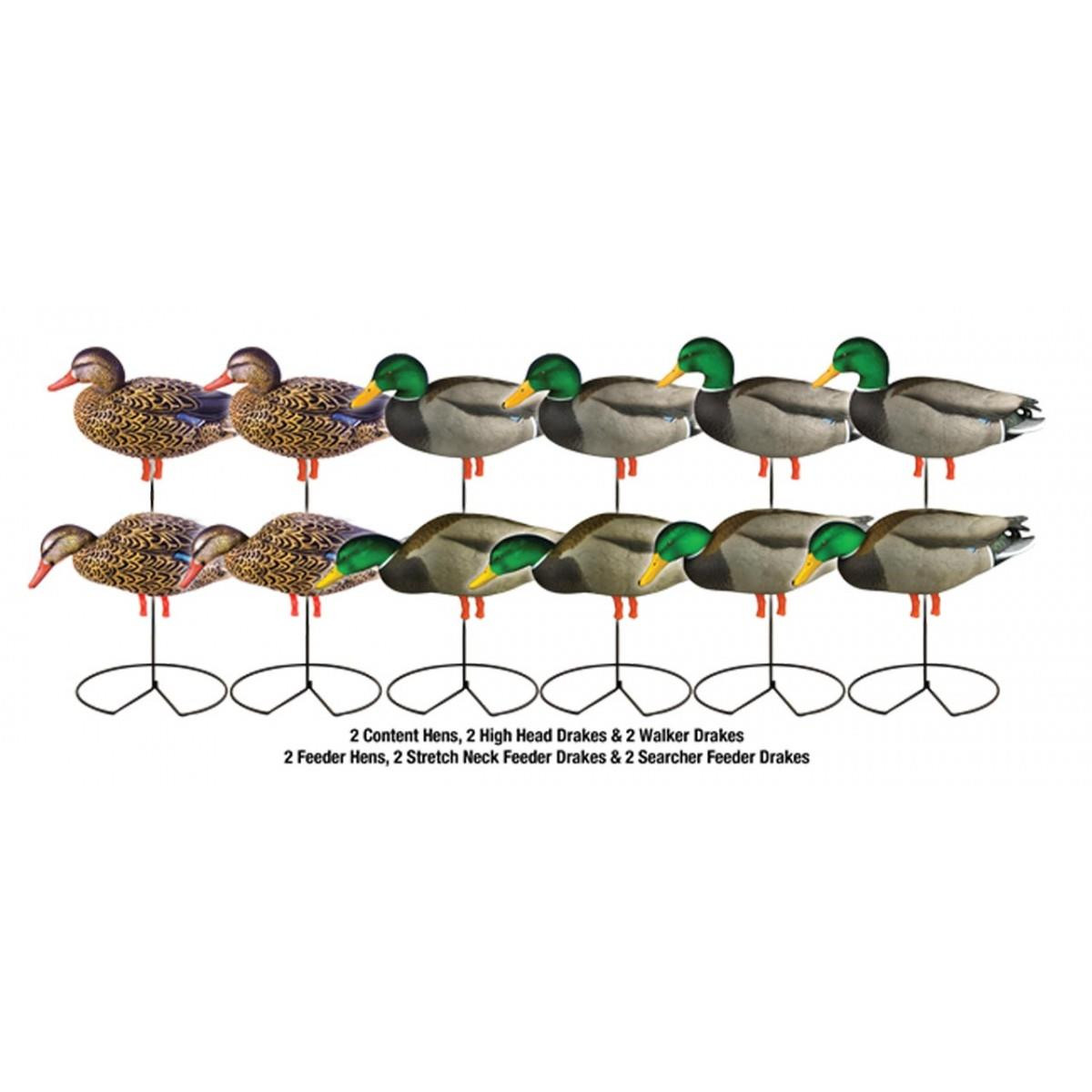 Avery GHG Pro Grade Mallard Harvester Full Body Duck Decoys- 1doz