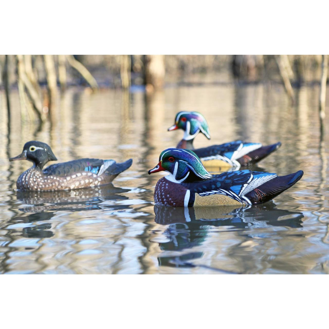 Dakota X-Treme Wood Duck Floater Decoys - 6pk - 17700 - Presleys