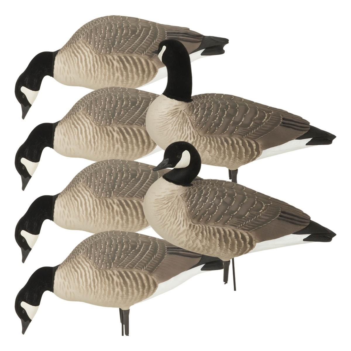 Avery GHG Hunter Series Canada Goose Decoys
