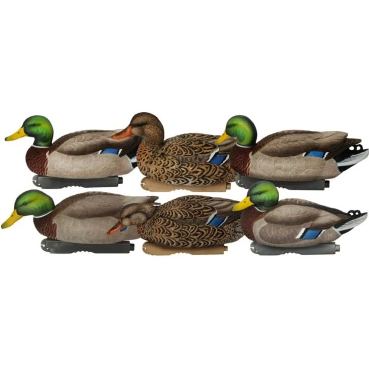 【貴重、輸入品、未使用、休特価】Lindbarg　Curtiss Goshark Avery GHG Pro Grade XD Mallard Duck Floater Decoys- 6pk Harvester