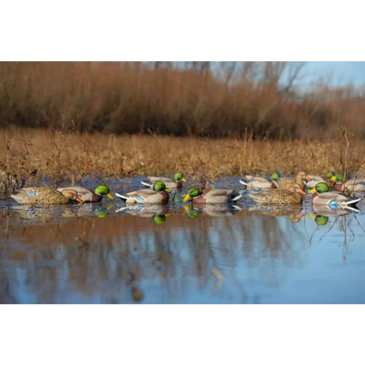 Avery GHG Pro Grade XD Mallard Duck Floater Decoys- 6pk Harvester