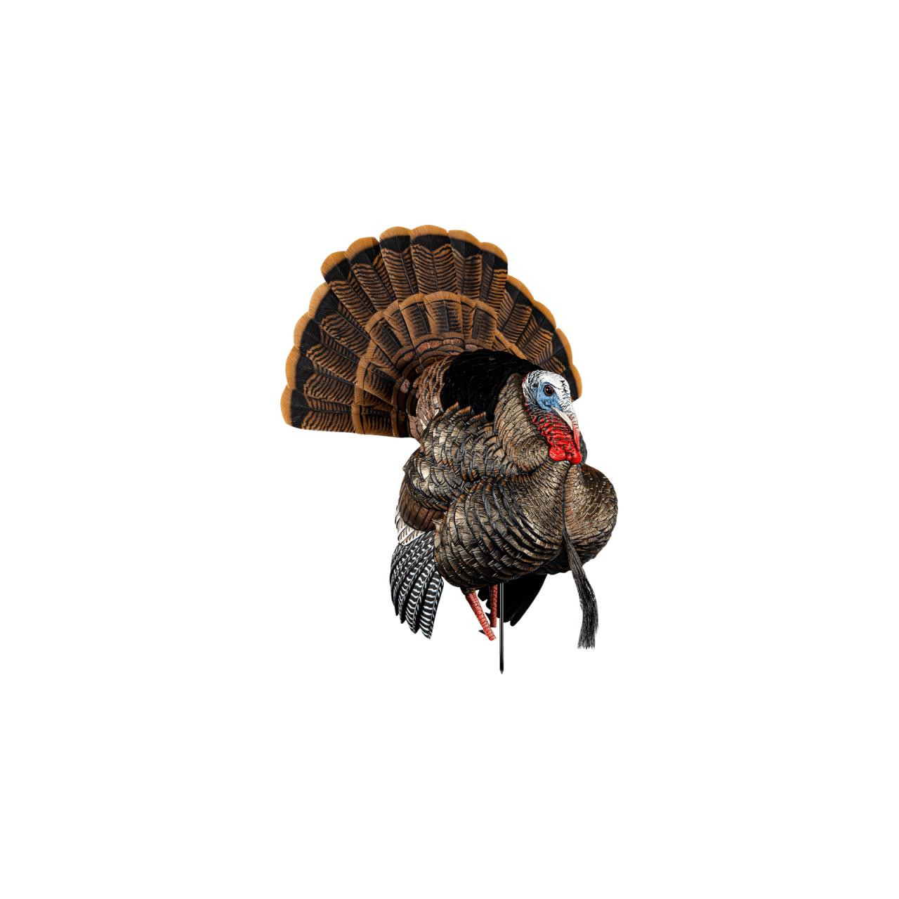 Avian-X HDR Tom Strutter Turkey Decoy - Presleys Outdoors