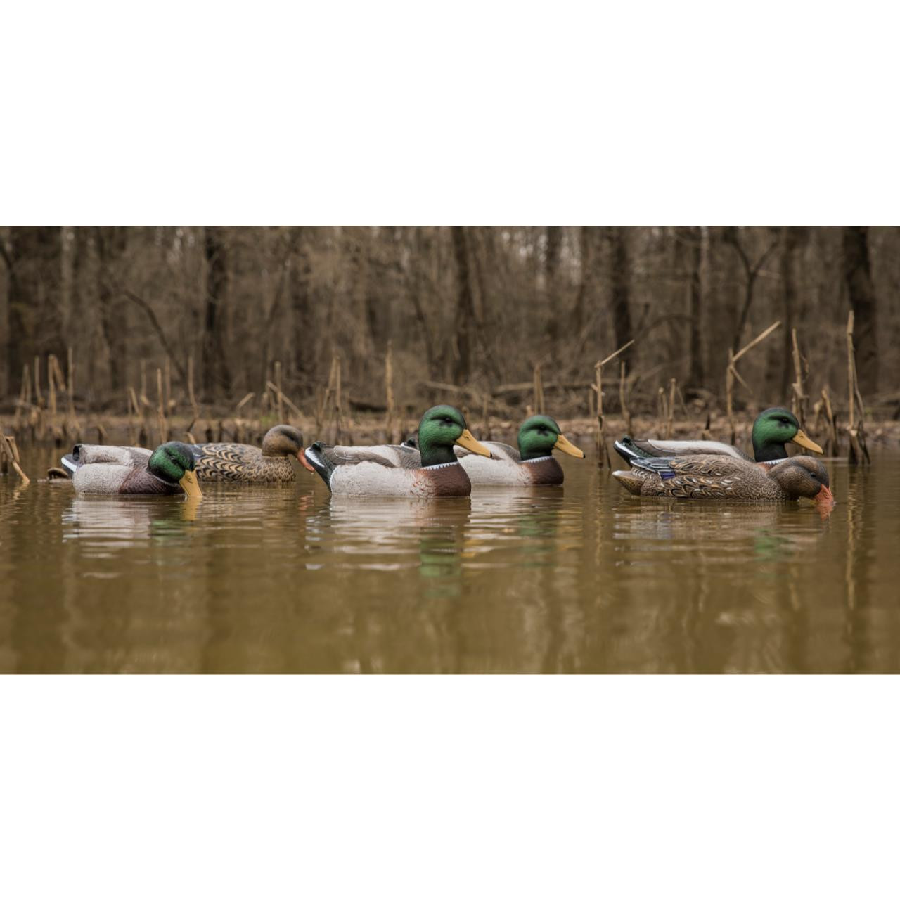 Higdon Decoys Mallard Duck Floater Decoys