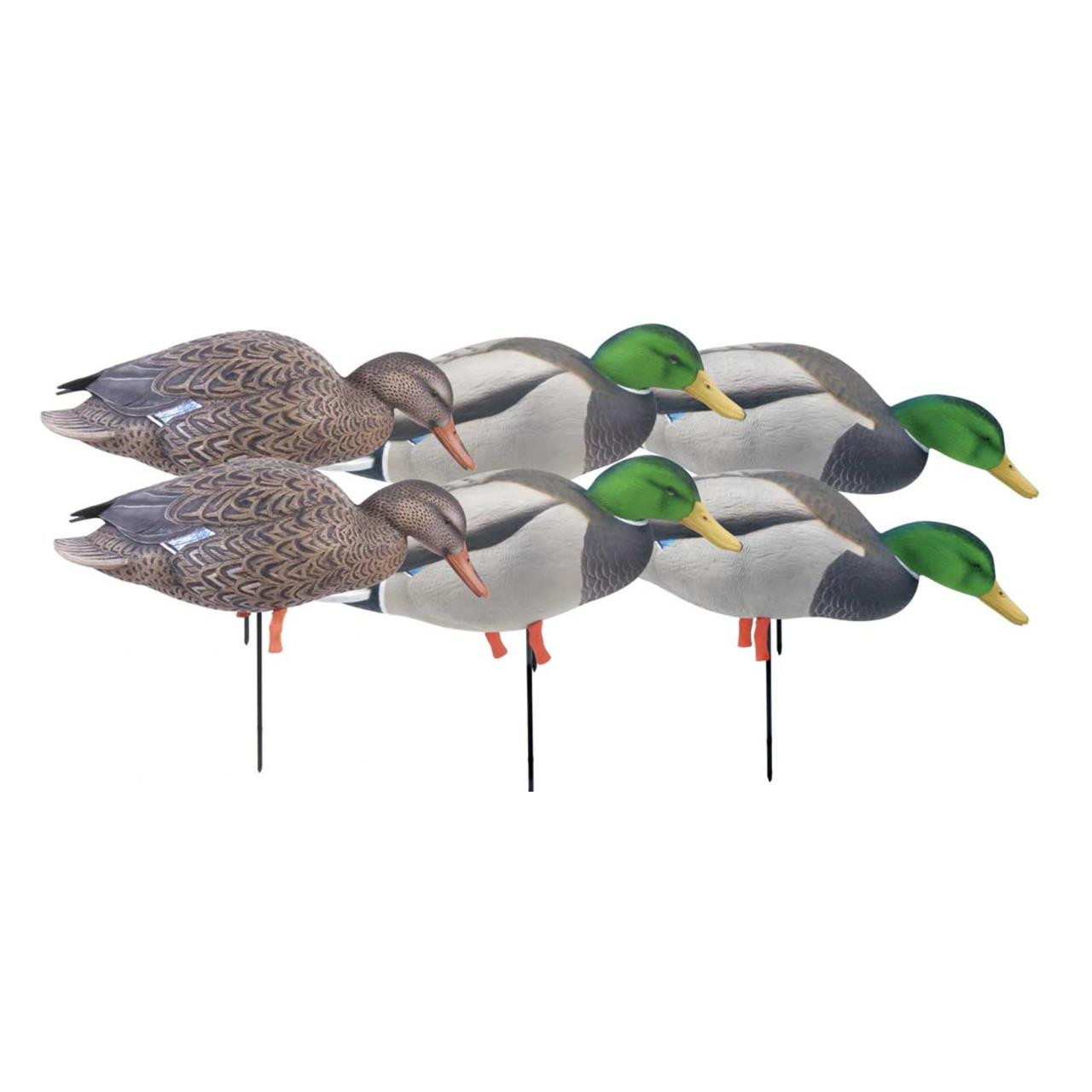 Avery GHG Pro Grade Mallard Feeder Full Body Duck Decoys 6pk Flocked