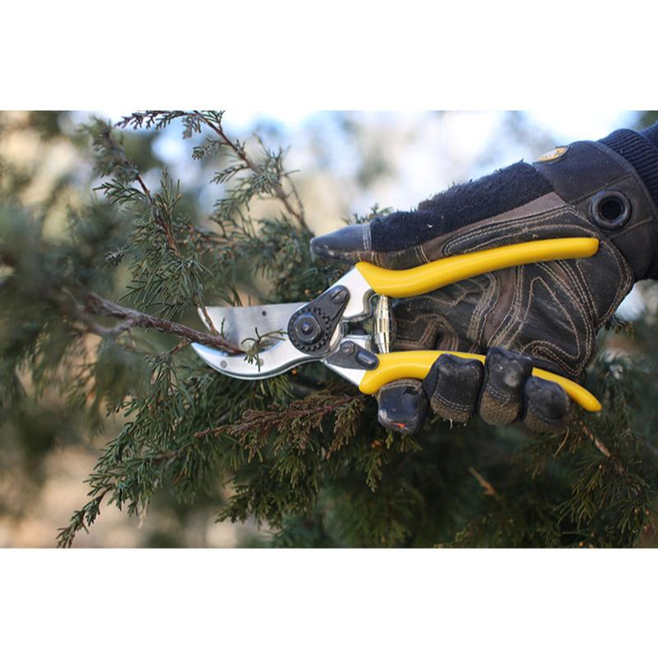Wicked Hand Pruner Presleys Outdoors