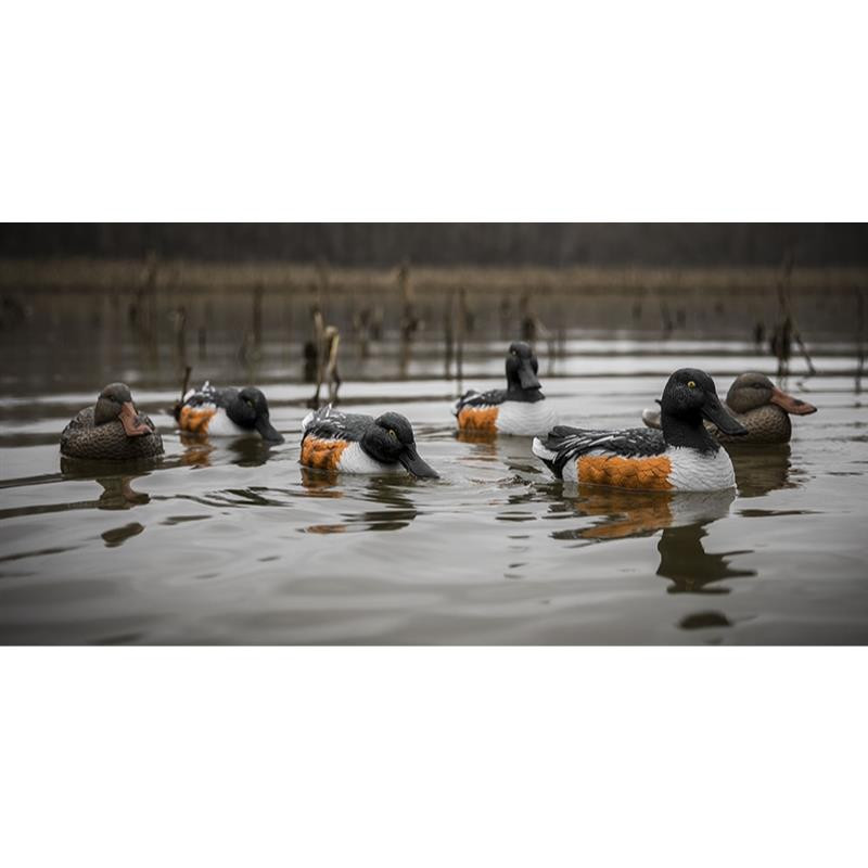 Higdon Standard Shoveler Duck Floater Decoys 6pk19961 Presleys