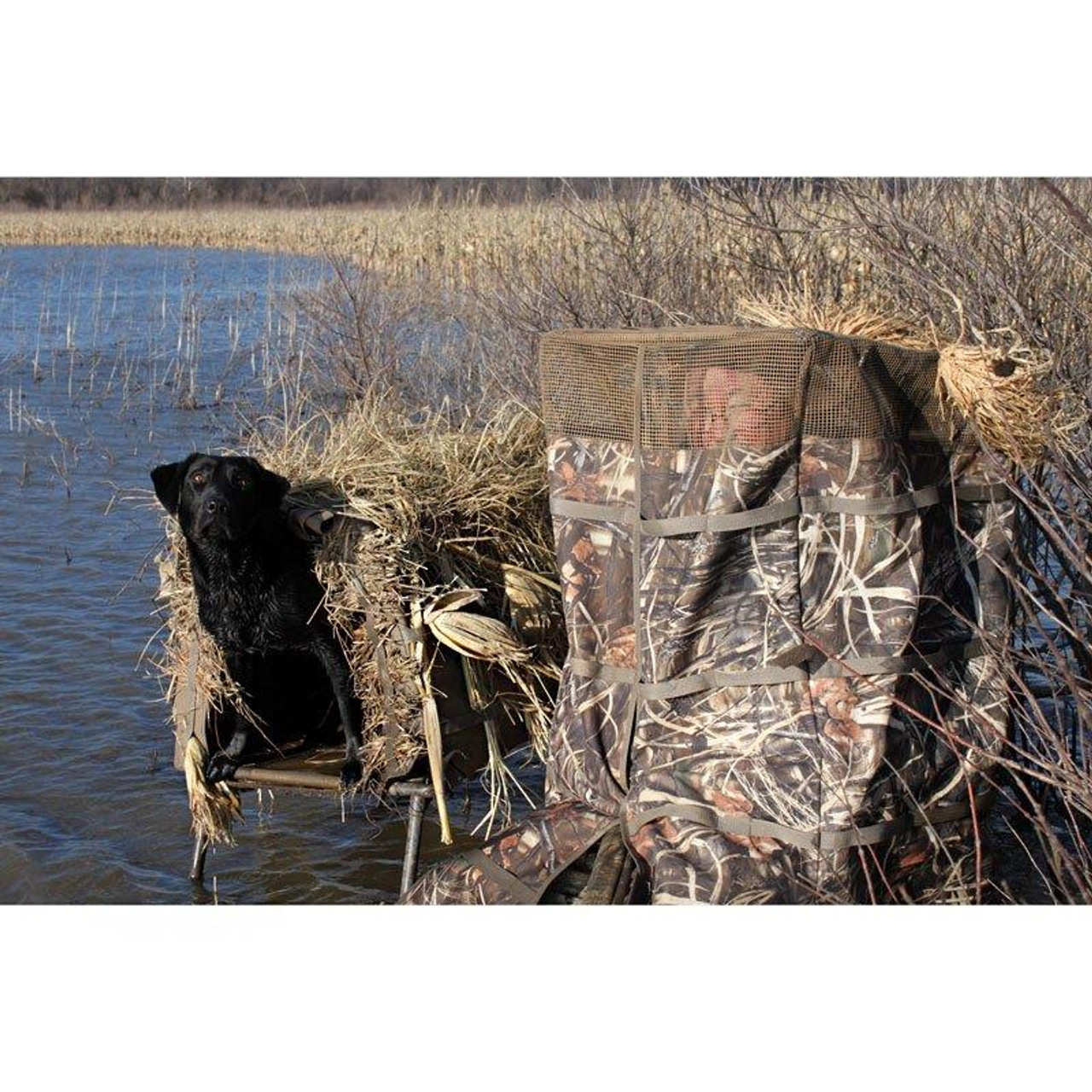 DIY duck blind dog stand