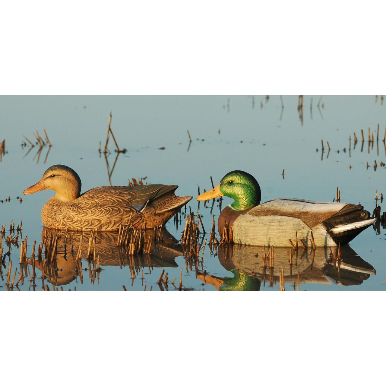 Avery GHG Over Size Mallard Duck Floater Decoys 6pk 73013