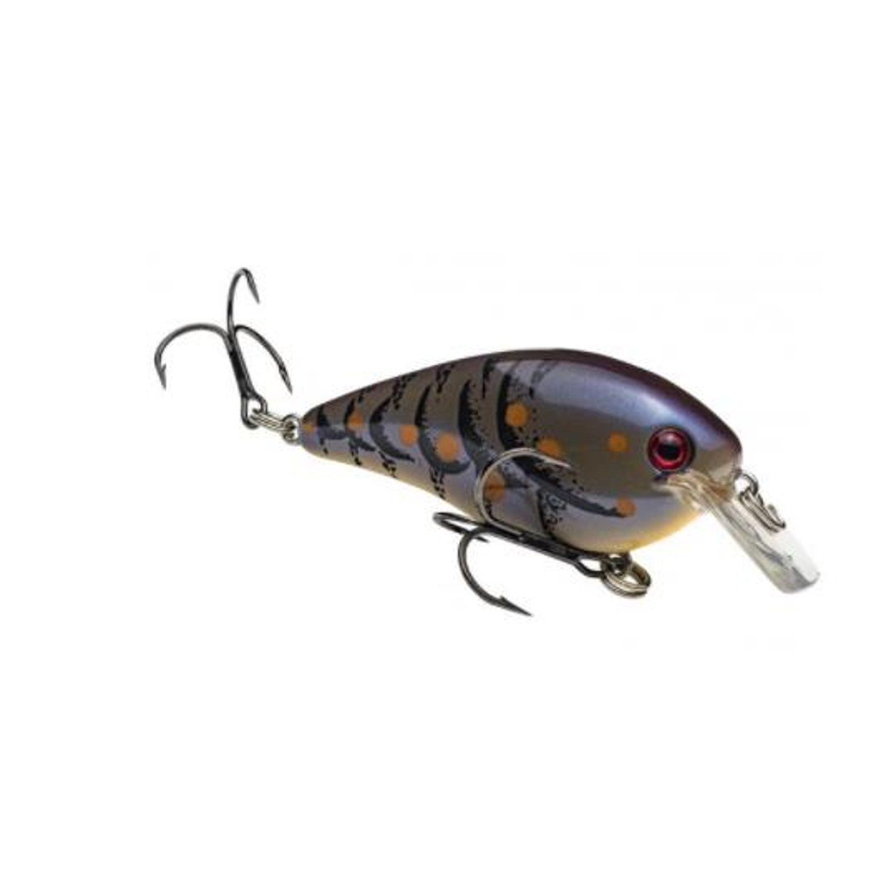 Strike King KVD Square Bill Crank Series - 1.5 Deep Crankbait - Presleys  Outdoors