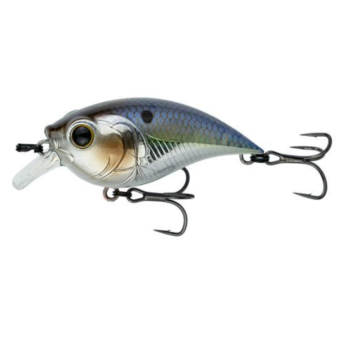 【中古】 Very　Berry　Fishing♪/ＣＤシングル（１２ｃｍ）/UPM-0018 釣具の通販｜日本最大新品中古釣具-WEBショップ「＠ベリーネット」