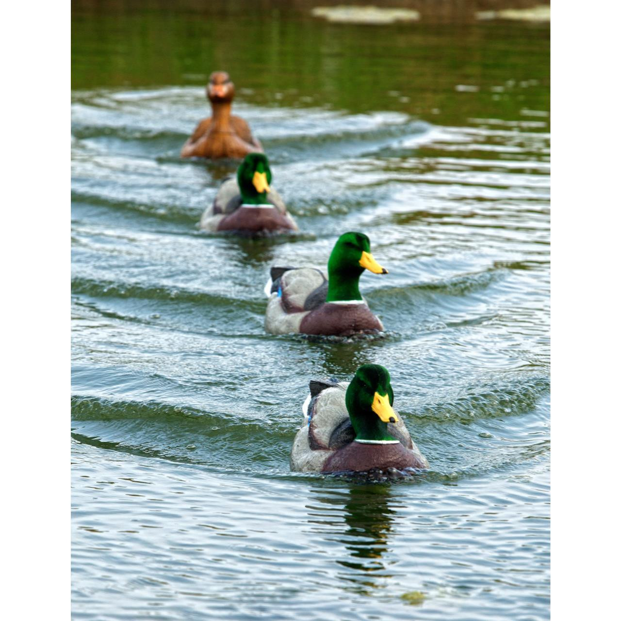 Rig Em Right Jerk Rig 004 Presleys Outdoors