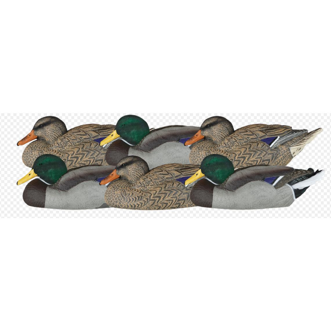 Dakota XTreme Mallard Duck Floater Decoys 6pk Rester Pack 12065