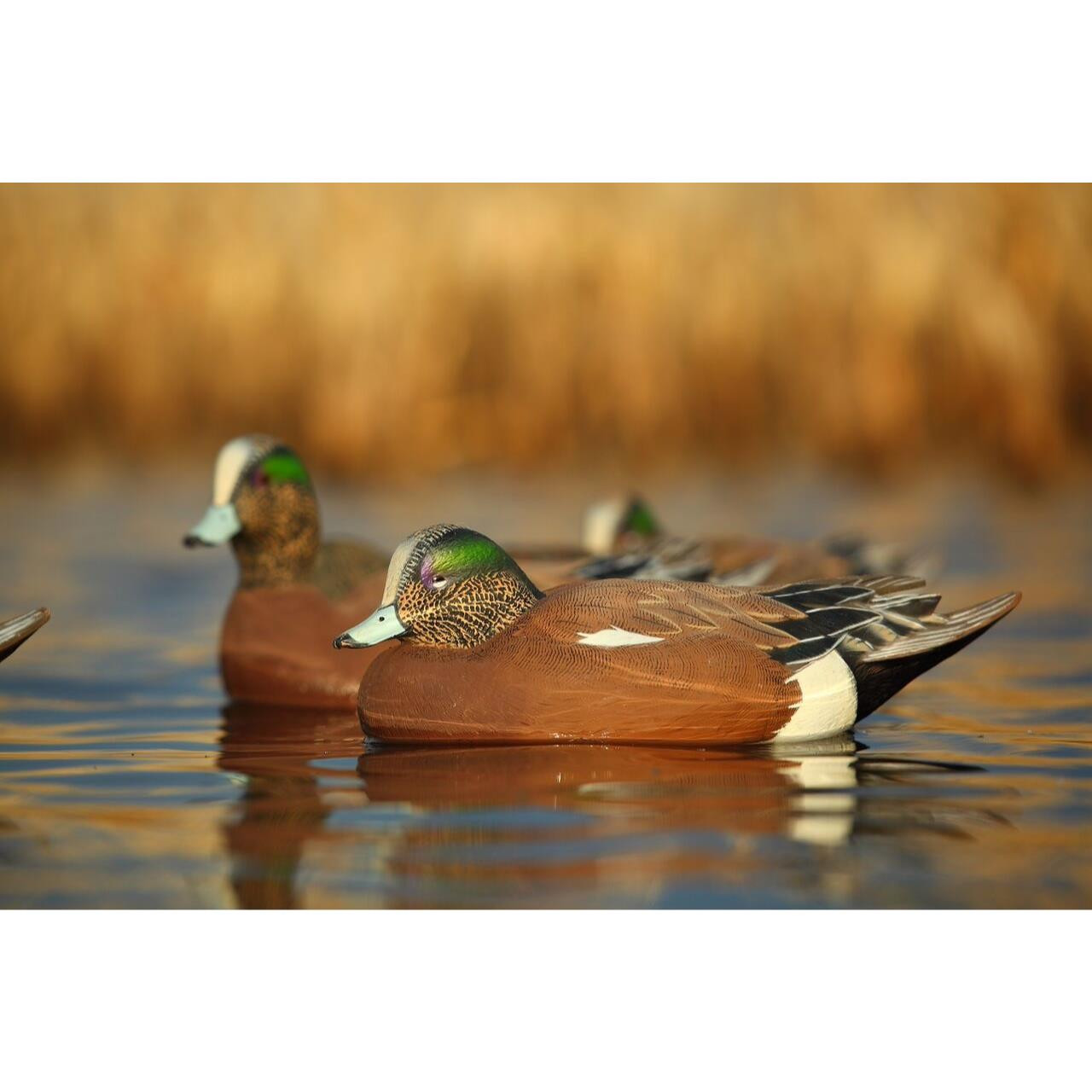 Avery GHG Pro Grade Wigeon Duck Floater Decoys 6pk 73143 Presleys