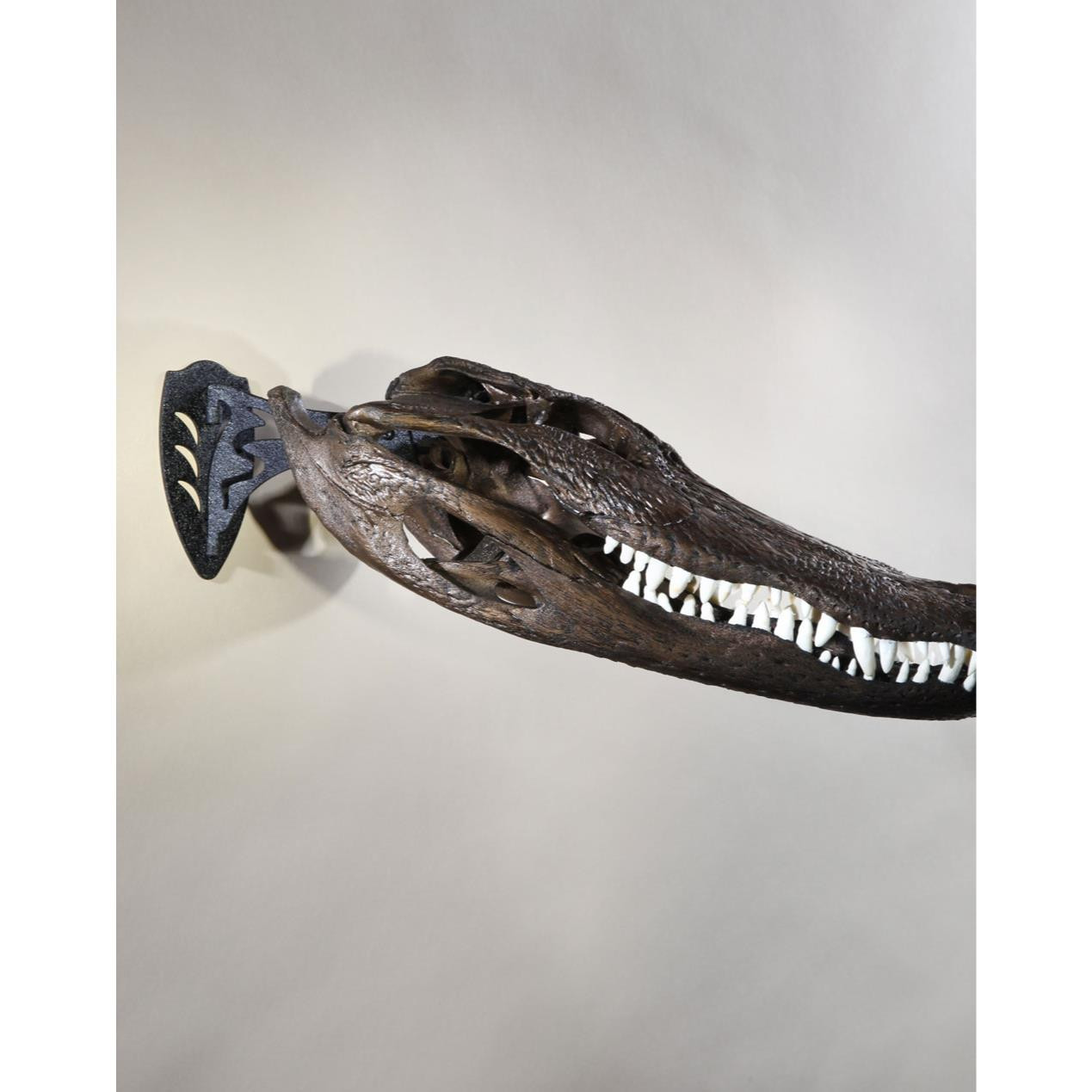 Skull Hooker Little Hooker - Supporto Per Teschi E Trofei Da Caccia, Regolabile, In Acciaio Verniciato - Foto 14