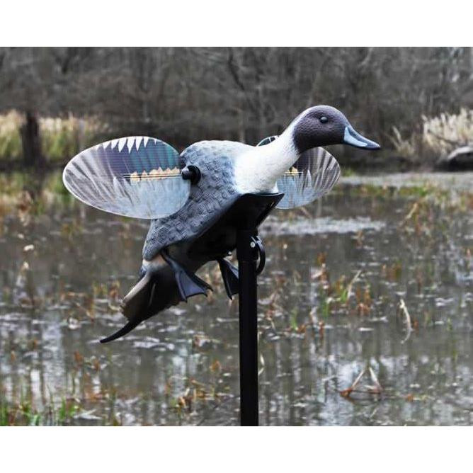 MOJO Elite Series Pintail Spinning Wing Motion Decoy - 3-Pin Remote ...