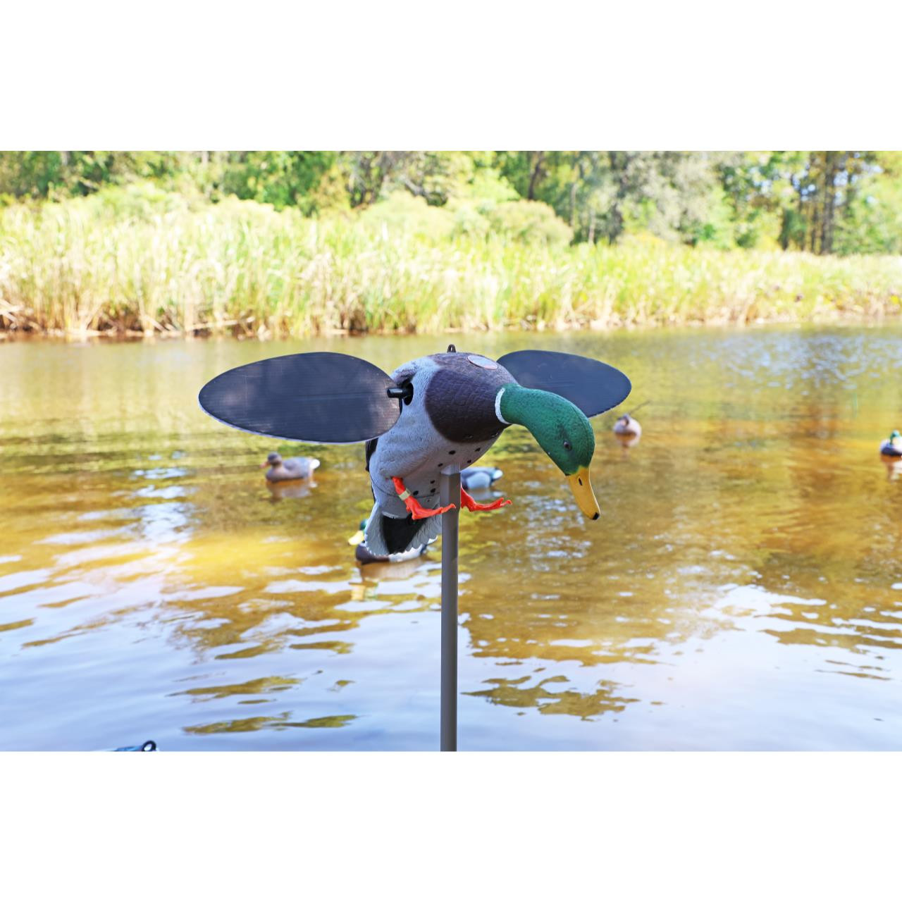Mojo Outdoors Silver Mallard Drake Spinning Wing Motion Decoy ...