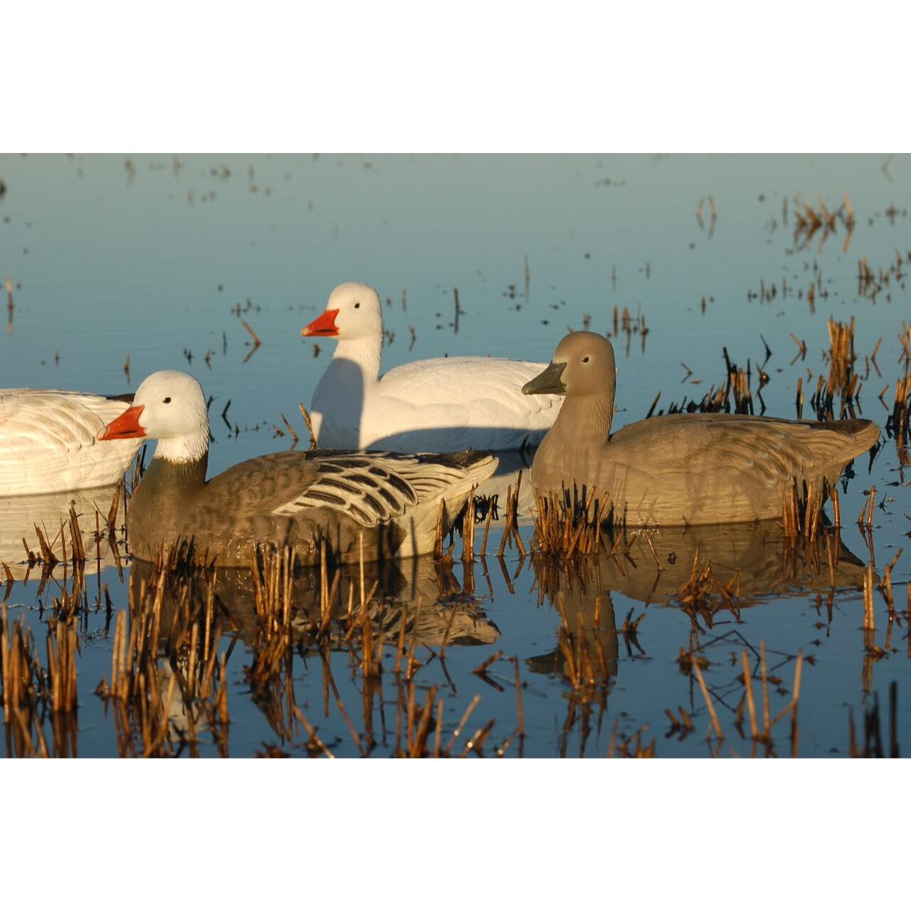 Avery GHG Pro Grade Blue Goose Floater Decoys 4pk Active 71089