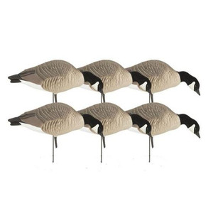 Avery GHG Hunter Series Canada Full Bodies - Feeder 6pk - 71596 - 700905715961