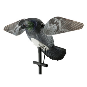 Lucky Duck Lucky Hd Pigeon - 605093302194