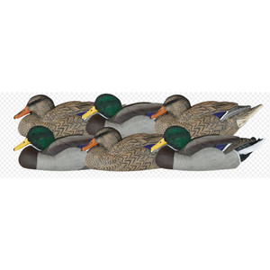 Dakota Decoy X-treme Mallard Floater 6pk - Rester Pack - 723175896154