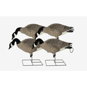 Avery Outdoors Pro-Grade XD Canada Goose Full Body 4pk-Feeders - 700905715916
