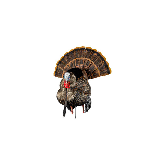 Avian-X HDR Tom Strutter Turkey Decoy - Presleys Outdoors