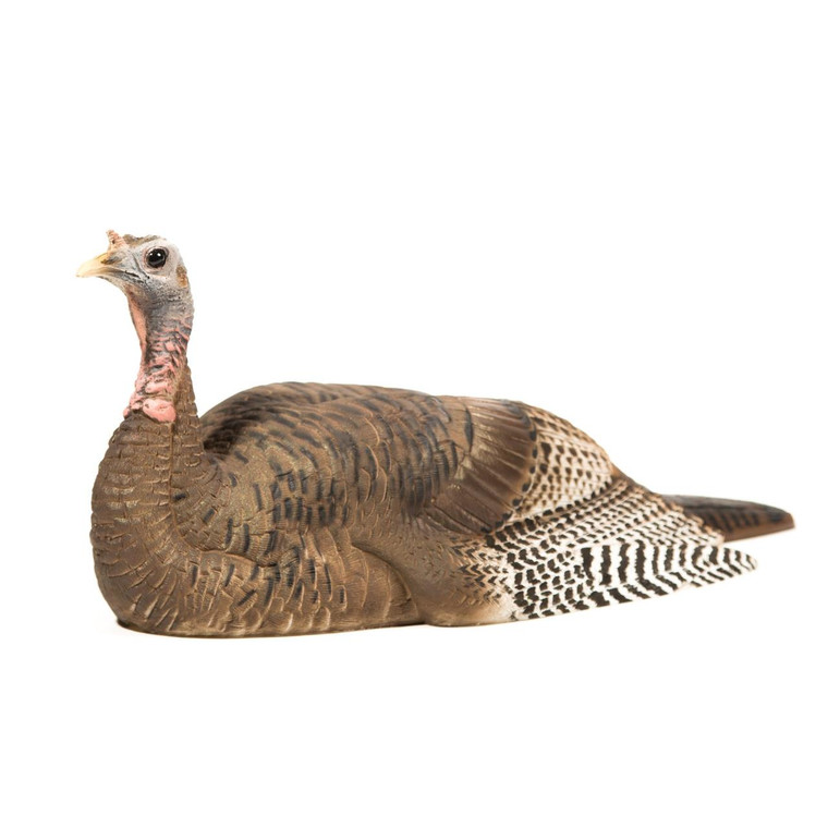 DSD Ace Mating Hen - 689076287296