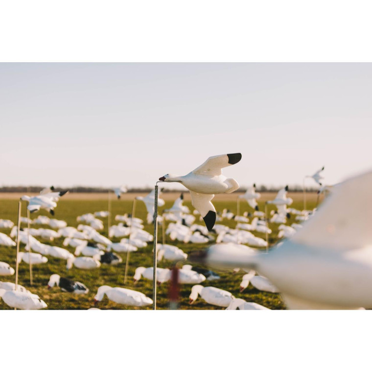Clone Decoys Feather Flyers Snow Goose Decoy Presleys Outdoors