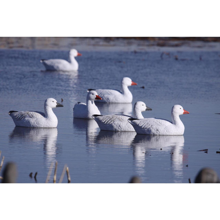 Avery GHG Pro Grade Snow Goose Floater Decoys 4pk Active 71088