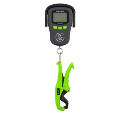 Rulers, Scales & Tournament