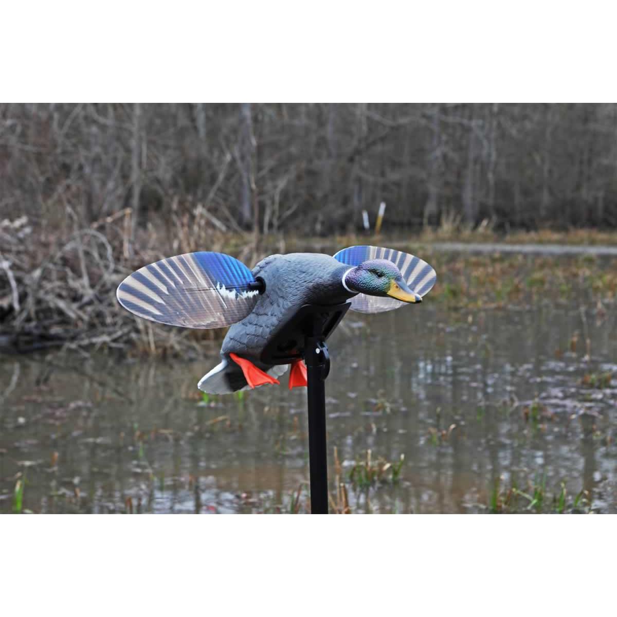 Mojo Outdoors Mallard Elite Series Mallard Drake