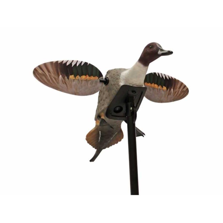 Mojo Outdoors Elite Series Pintail Decoy - Thumbnail 2