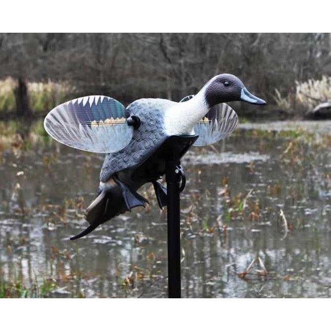 Mojo Outdoors Elite Series Pintail Decoy