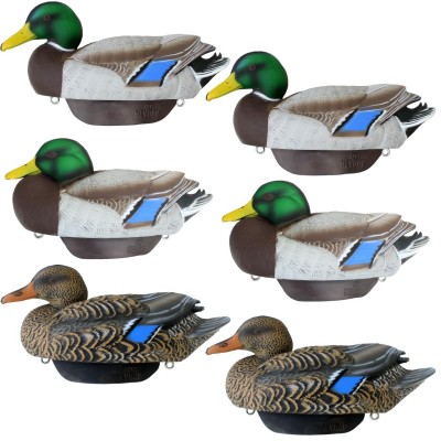 Duck Decoys