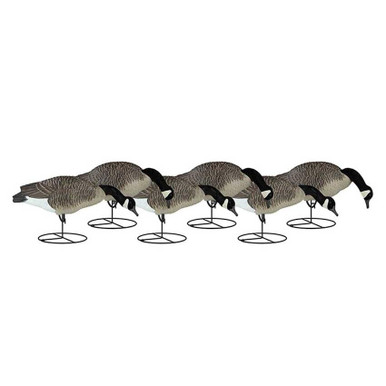Dakota Signature Series Canada Goose Full Body Decoys - 6pk - Presleys