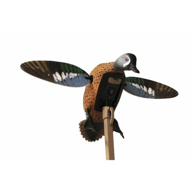 Mojo Elite Series Blue Wing Teal Decoy Simmons Sporting, 53% OFF