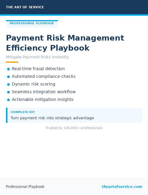 Payment Risk Management Efficiency Playbook