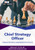 Chief Strategy Officer Toolkit