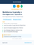 Workforce Diversity in Management Systems