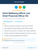 Chief Wellbeing Officer and Chief Financial Officer Kit