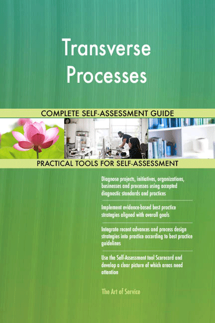 Transverse Processes Toolkit