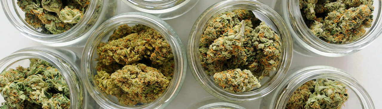 Cannabis