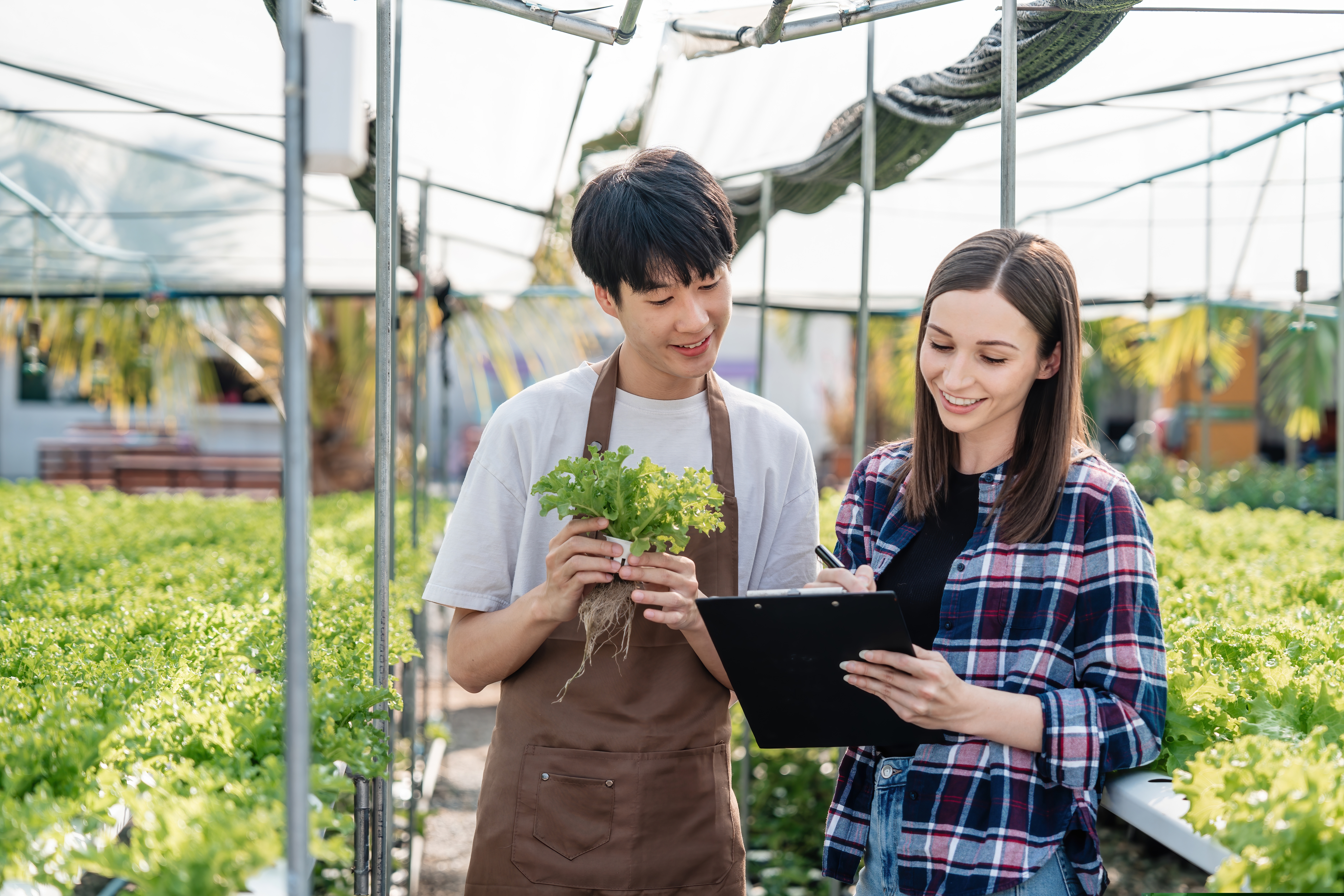 Food Spark – A Cornell Resource