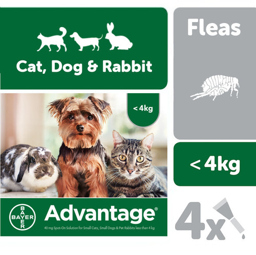 Advantage 40 for Small Cat, Dog & Rabbits Up to 4kg