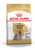 Royal Canin Yorkshire Terrier Adult Dry Dog Food