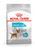 Royal Canin Mini Urinary Care Adult Dry Dog Food