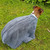 Henry Wag Dog Drying Bag